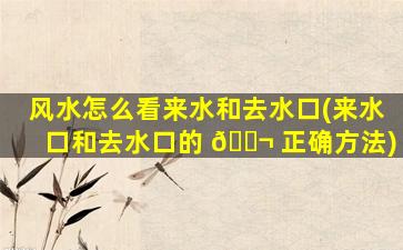 风水怎么看来水和去水口(来水口和去水口的 🐬 正确方法)